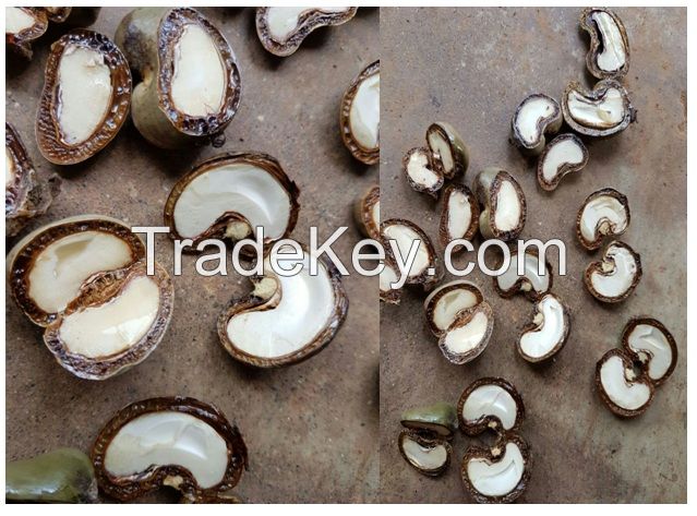 Cashew Nuts Available For Sale And Export