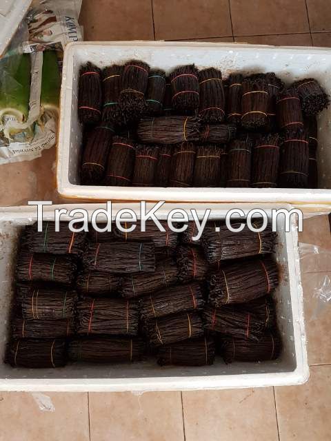 Vanilla Beans Available For Sale And Export