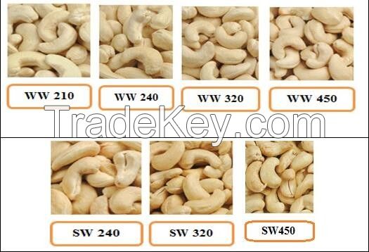 Cashew Nuts Available For Sale And Export
