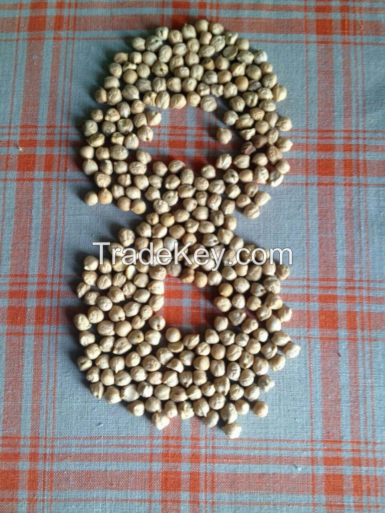 Chickpeas Available For Sale And Export