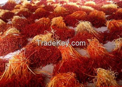 original saffron thread and saffron flower