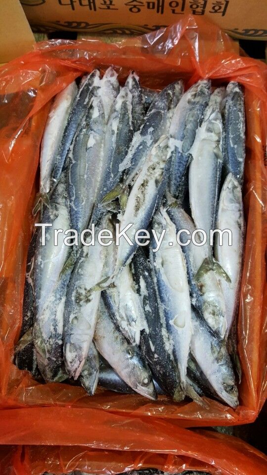 Frozen Pacific mackerel