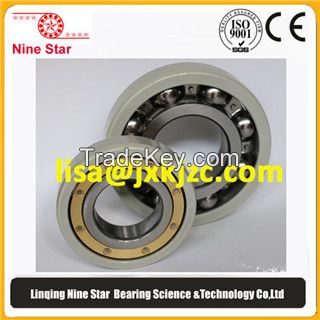 Electrically Insulated bearing 6318M/C3VL0246