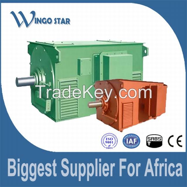 high voltage induction electric motor