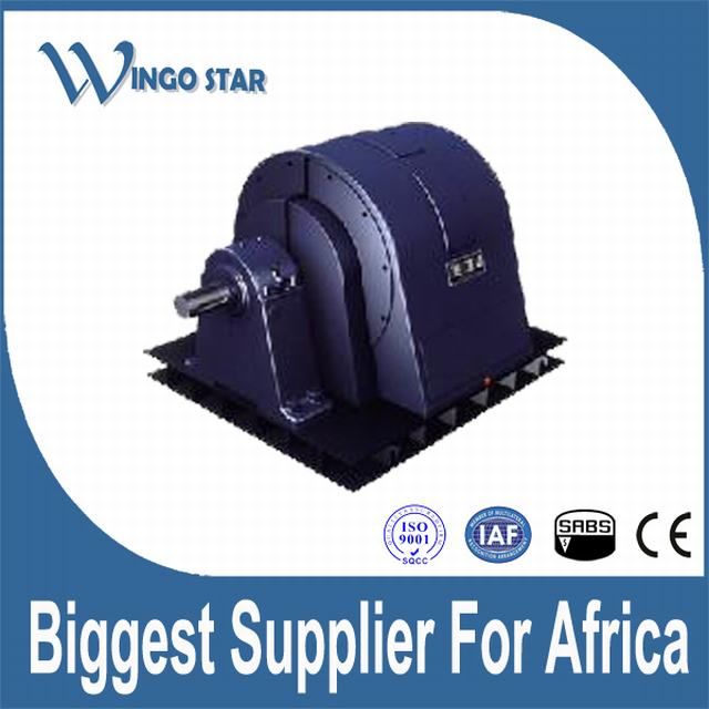 high voltage three phase induction electric motor