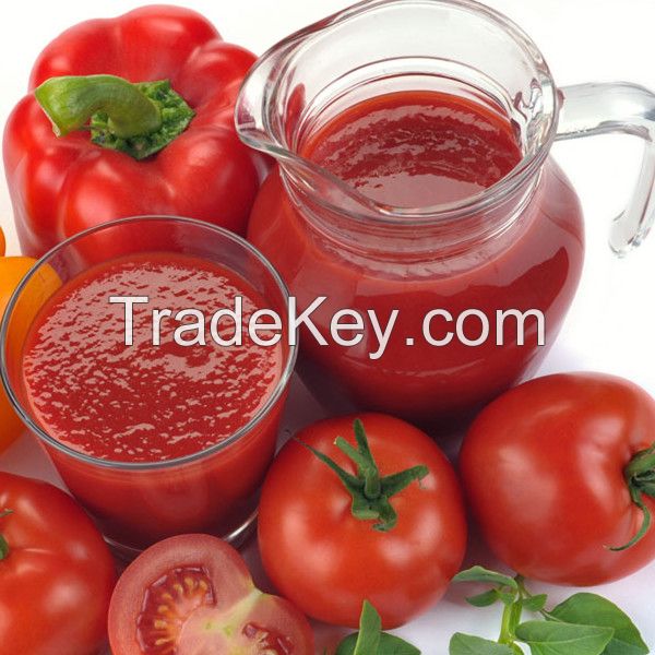 brix 28-30% canned tomato paste manufacturer from china