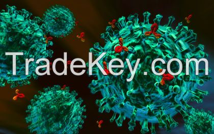 ELISA KIT, ANTIBODY