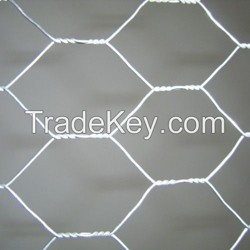 Hexagonal wire mesh