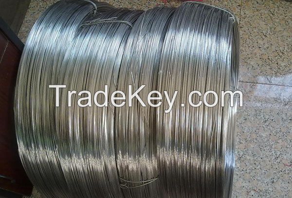 Stainless Steel Wire