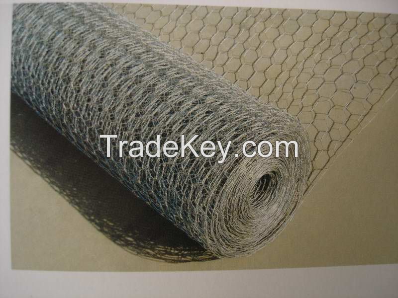 Hexagonal wire mesh