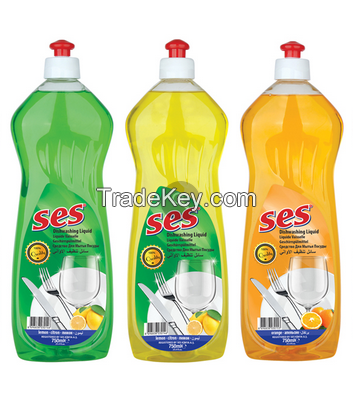 DISHWASHING LIQUID DETERGENT - 750 ML