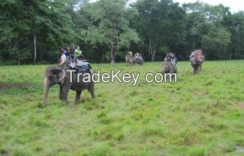 Chitwan Jungle Safari