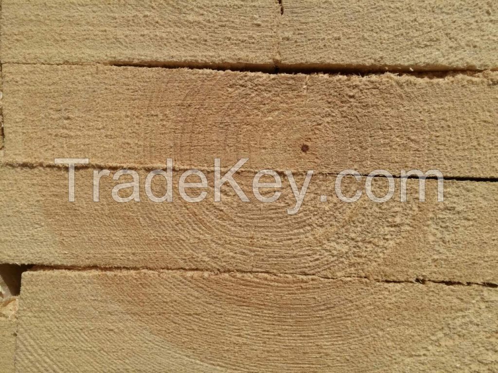 Pine lumber cut to your specs