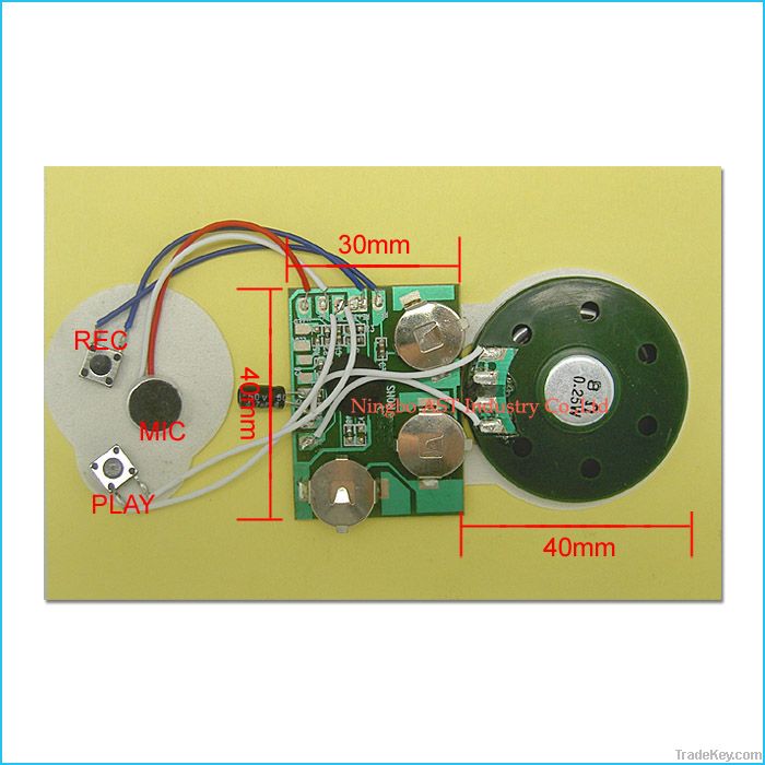 Sound Module, Sound Chip, Voice Module