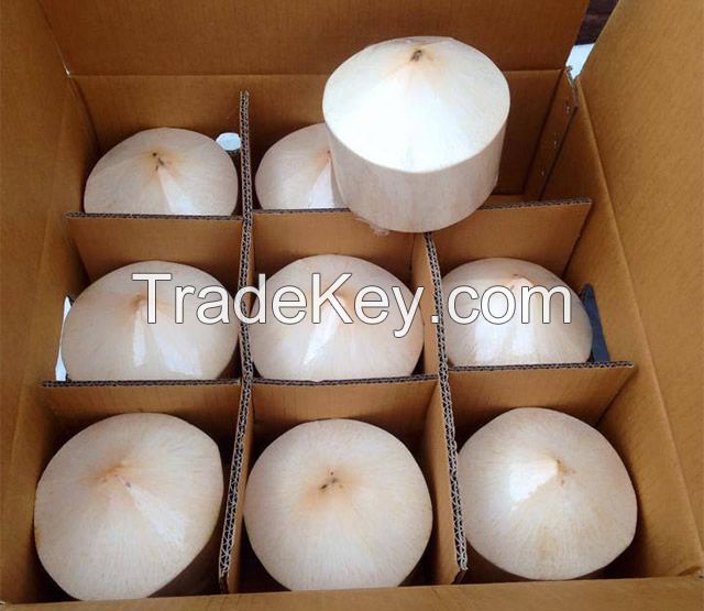 BEST PRICE FOR FRESH YOUNG COCONUTS (+84342828779)
