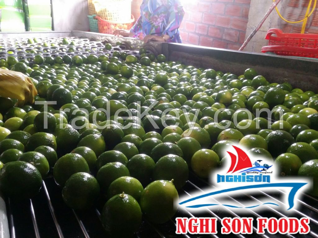 Vietnam Fresh Lime Seedless (+84342828779)