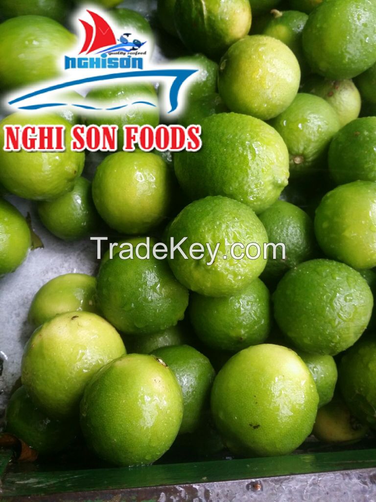 vietnam fresh lime seedless (+84342828779)