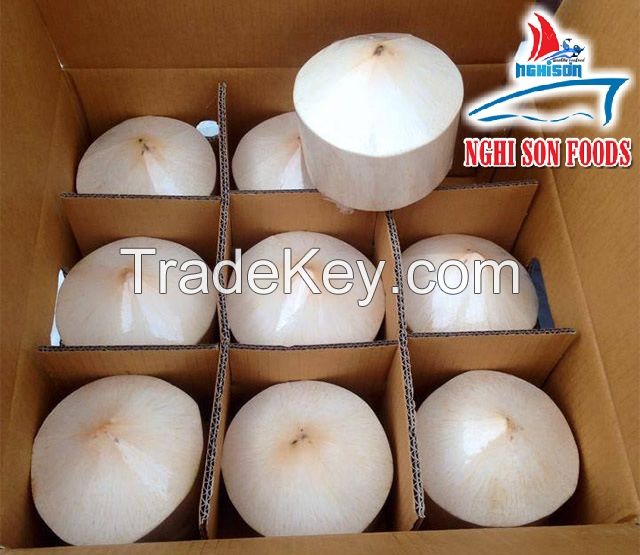 BEST PRICE FOR FRESH YOUNG COCONUTS (+84342828779)