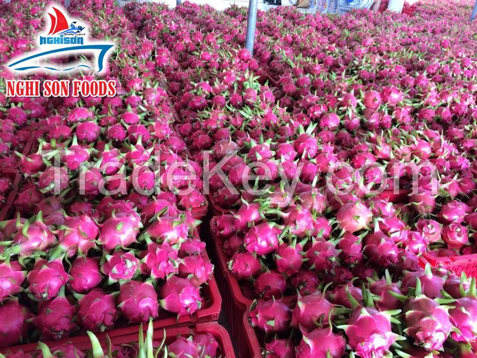 High quality for Fresh dragon fruit (+84342828779)