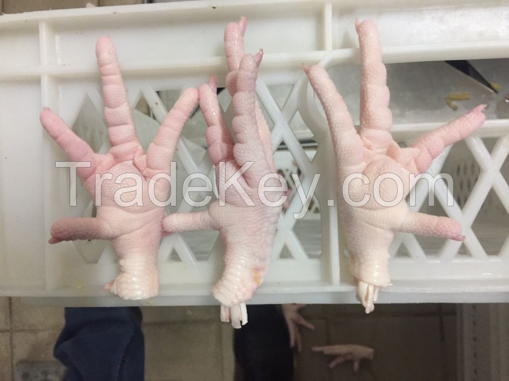 Chicken Feet