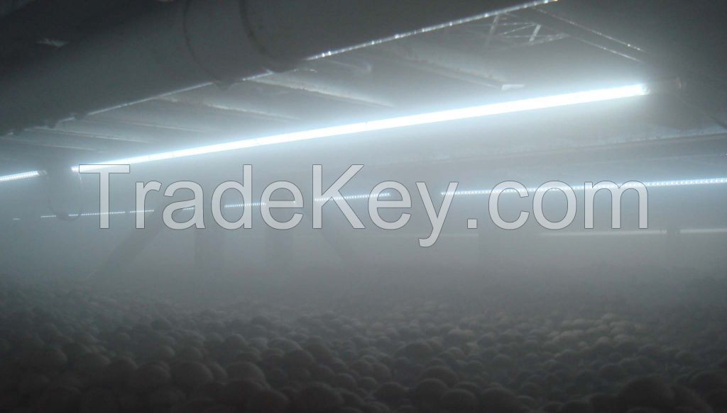 LED mushroom growing light