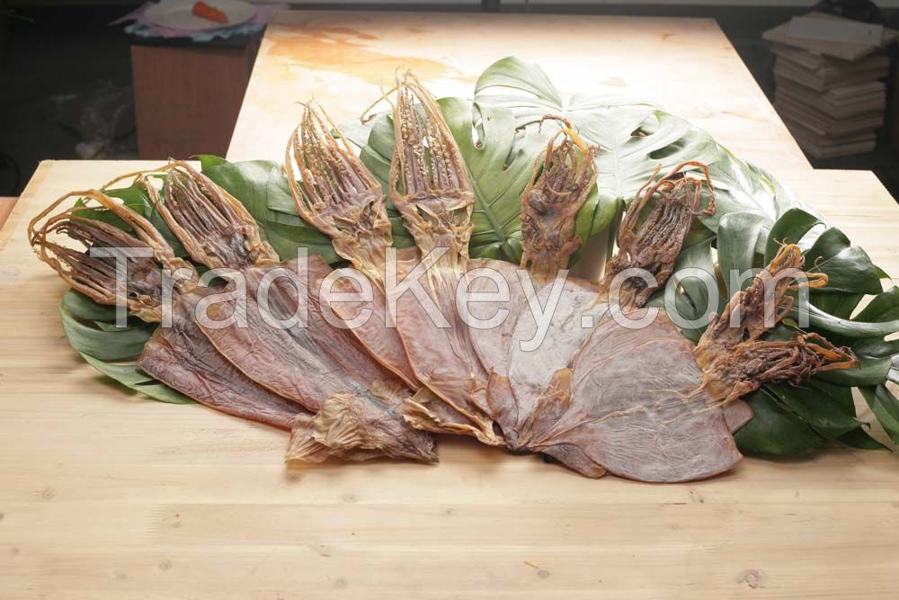 Dried Shortfin Squid Argentine