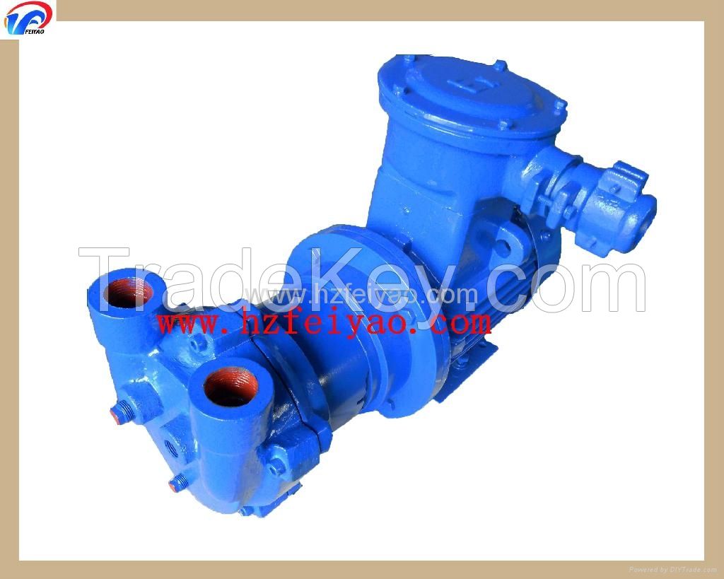 2BV2061 water ring vacuum pump