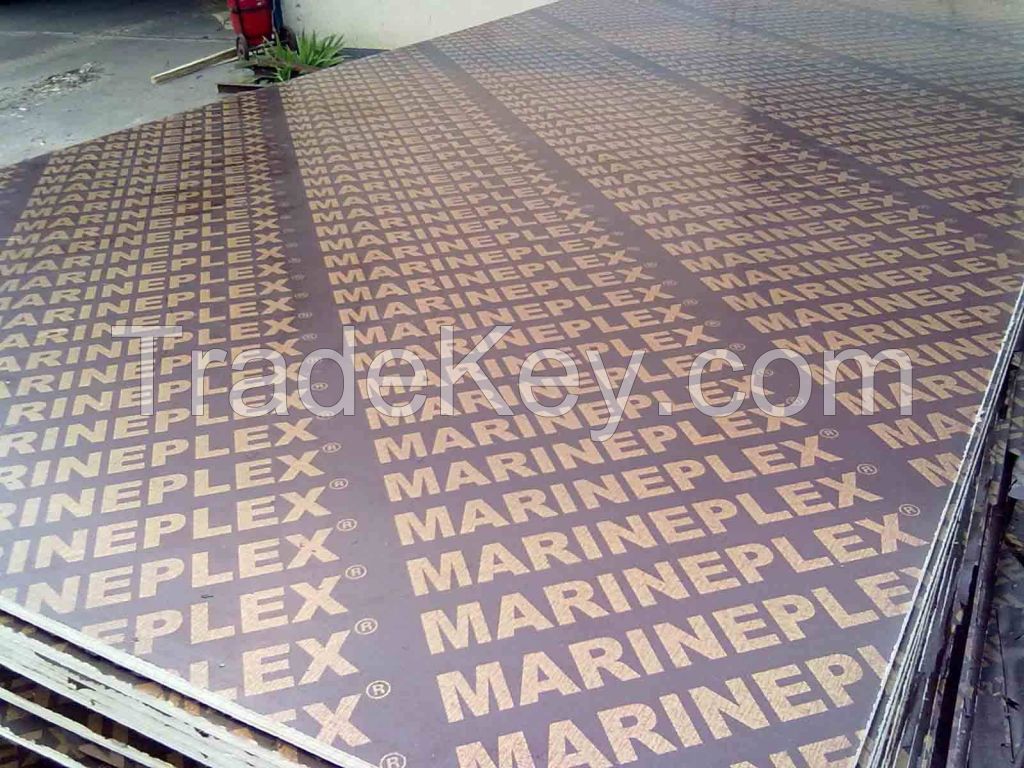 Gold Luck Timber Plywood