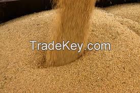 Soybean Meal