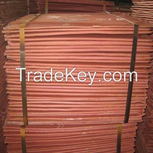 High purity Copper cathode 99.9% with latest price