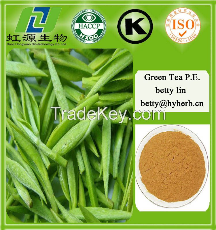 Green Tea Extract Tea Polyphenols 30%-98% Powder