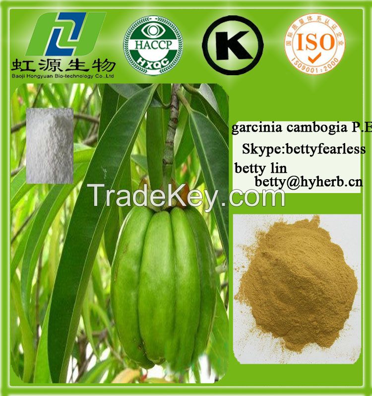 Garcinia cambogia Extract Garcinia cambogia Fruit Extract Hydroxycitric Acid 45%