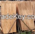 Eucalyptus core veneer