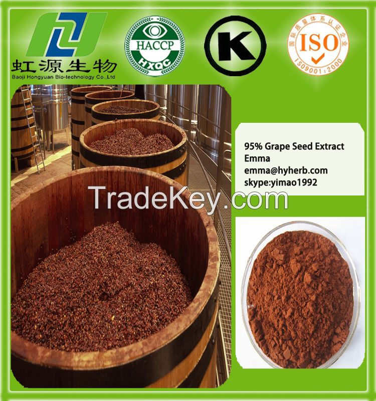 low price sell grape seed extract OPC95%