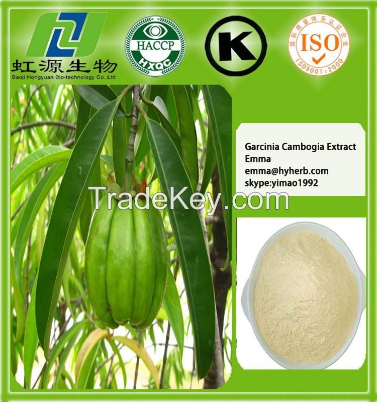 garcinia cambogia extract HCA 50%