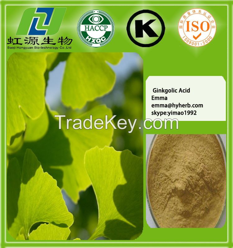 chinese herbal ginkgo biloba extract leaf powder 24% 6%