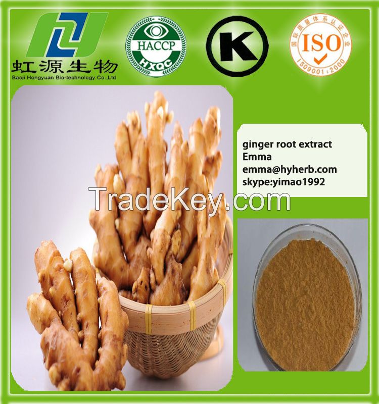 Pharmaceutical &amp;amp; healthcare grade ginger extract ginger extract powder
