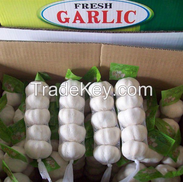 Pure White Garlic