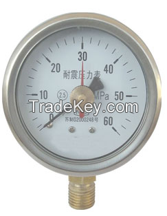 Shock proof pressure gauge