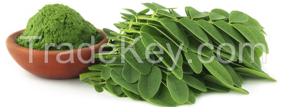 Moringa