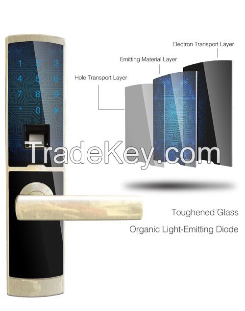Hlson Electric Door Lock Smart Fingerprint Lock HL6609