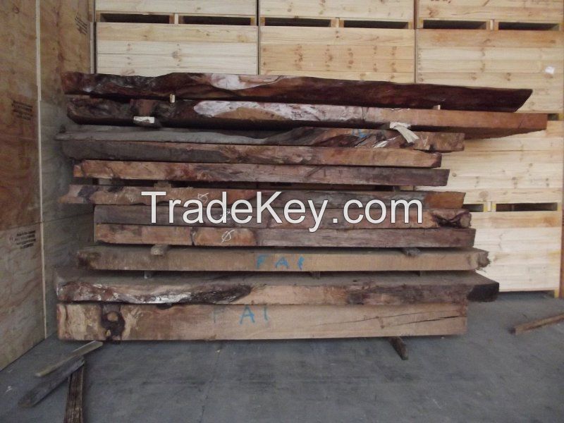 Swamp Kauri  Table tops 50,000+ years old