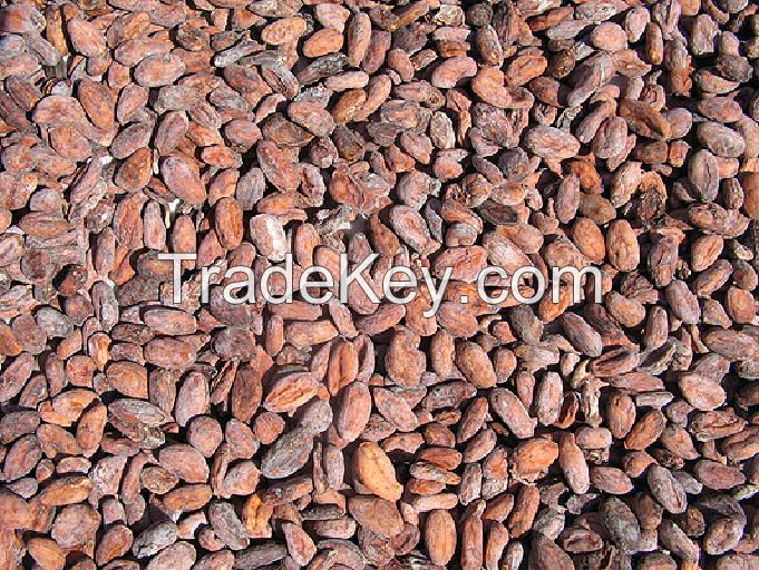 cocoa beans