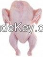 HALAL FROZEN WHOLE CHICKEN AND PARTS