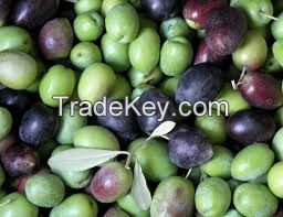 Raw Olives
