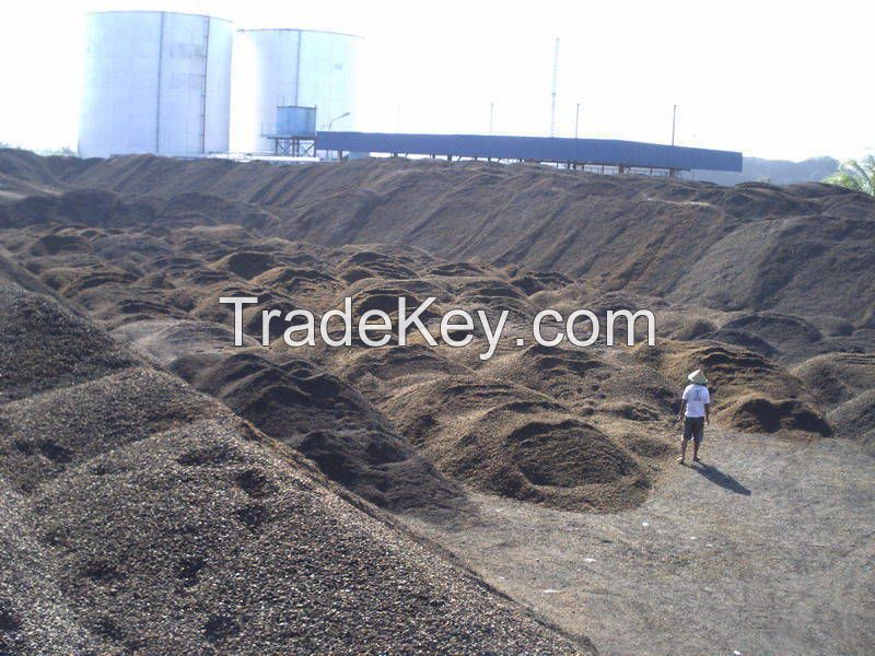 Palm Kernel Shell (PKS)