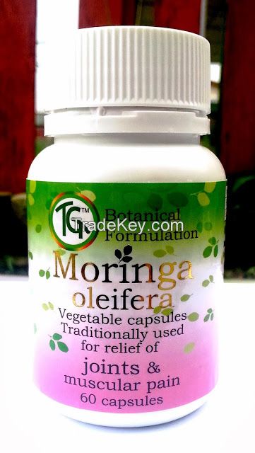 ThanksGivingTree-Moringa Oleifera