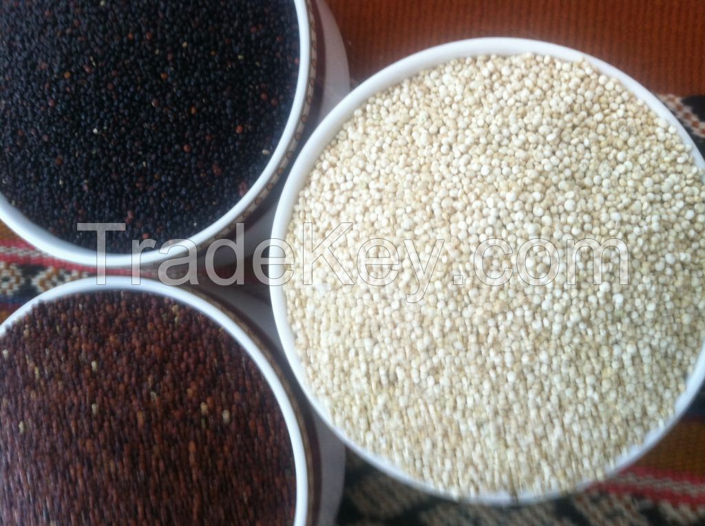 Organic and Conventional Quinoa