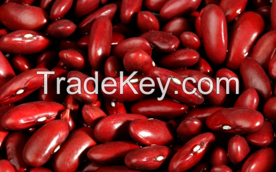 Red Kidney beans from Africa