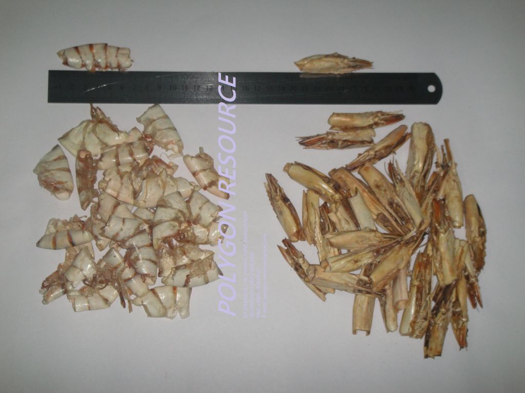 Dried Shrimp Shell